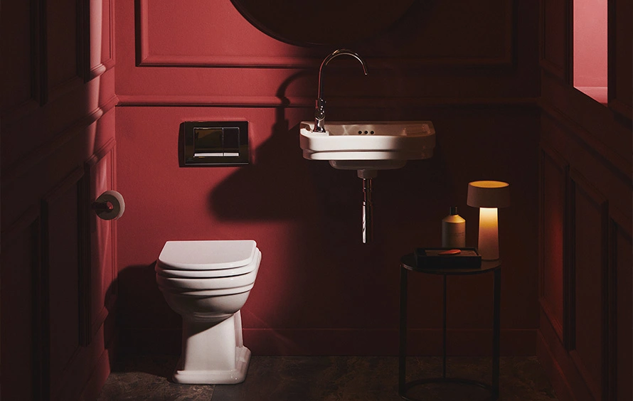 Luxury Basin and WC
